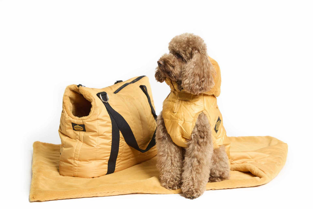 Abrigo de Plumas FashionDog