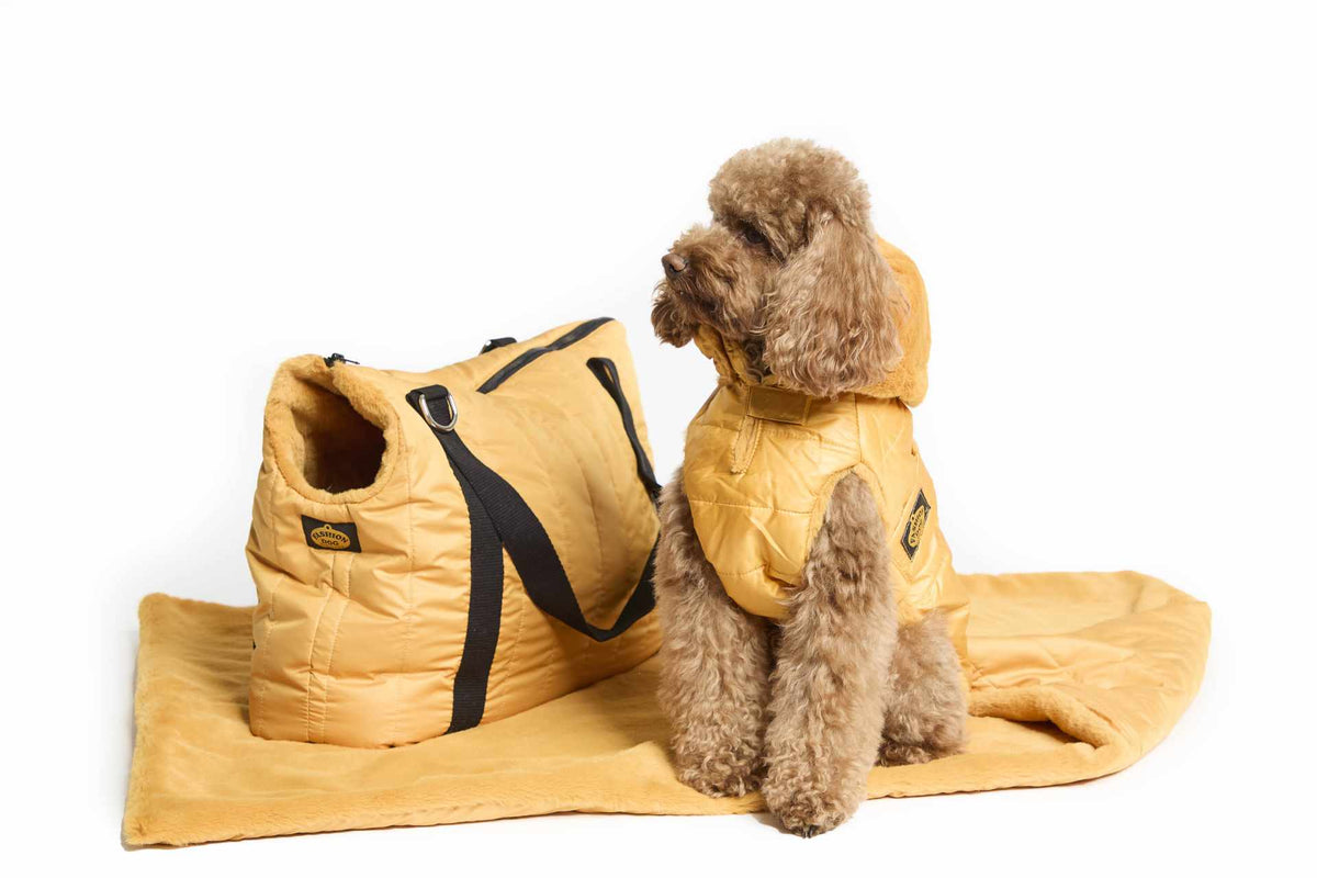 Abrigo de Plumas FashionDog
