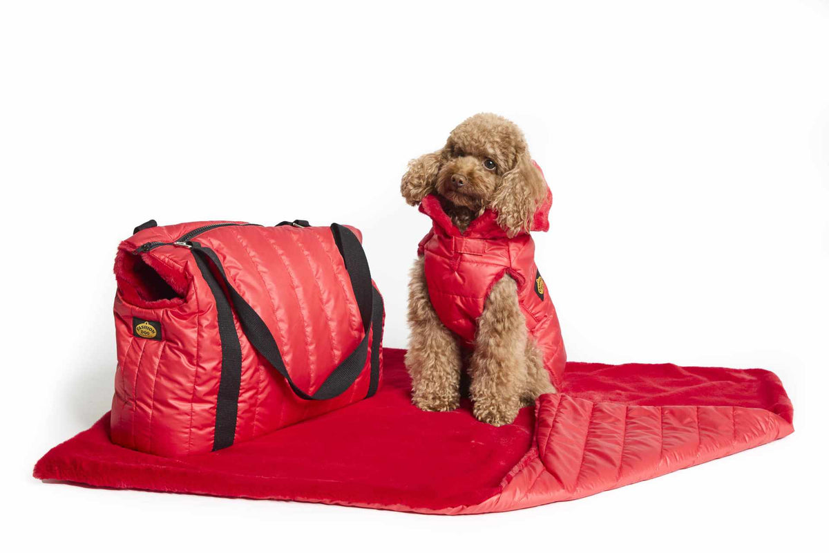 Abrigo de Plumas FashionDog