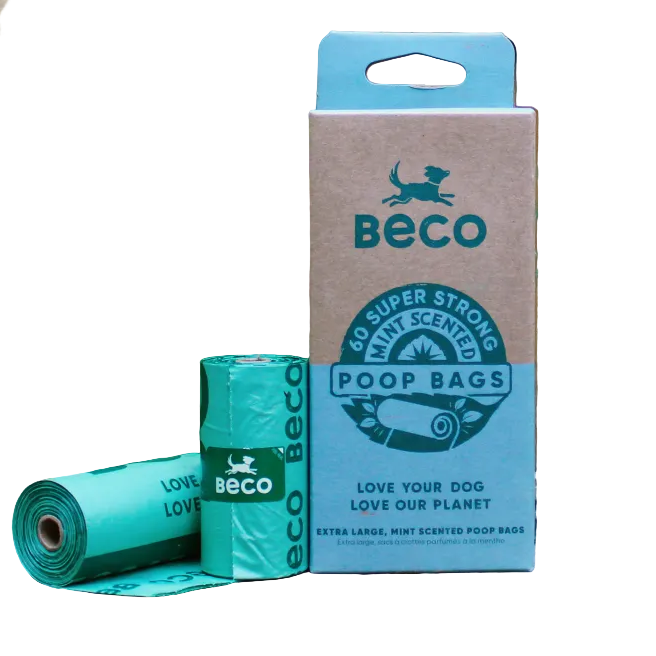 Pack de Bolsitas de Menta 4x15
