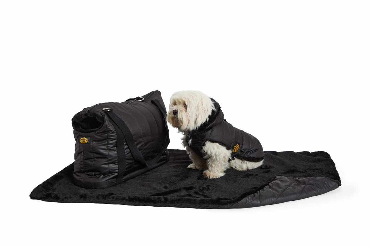Abrigo de Plumas FashionDog