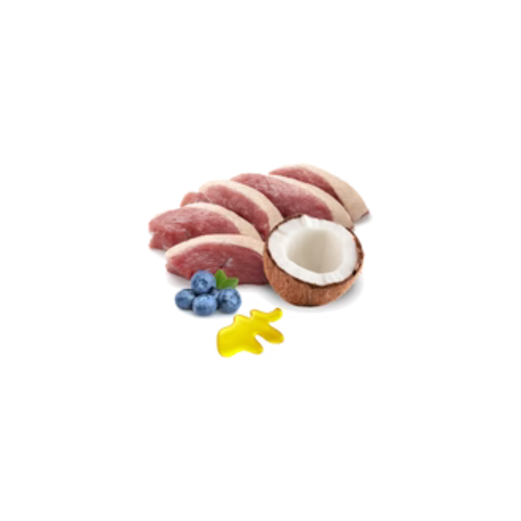 Menú Ronroneos sin Fin BIO - Pato