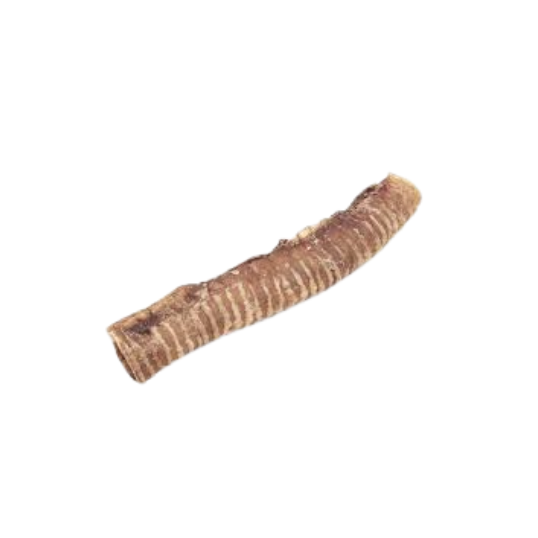 Tráqueas de Ternera