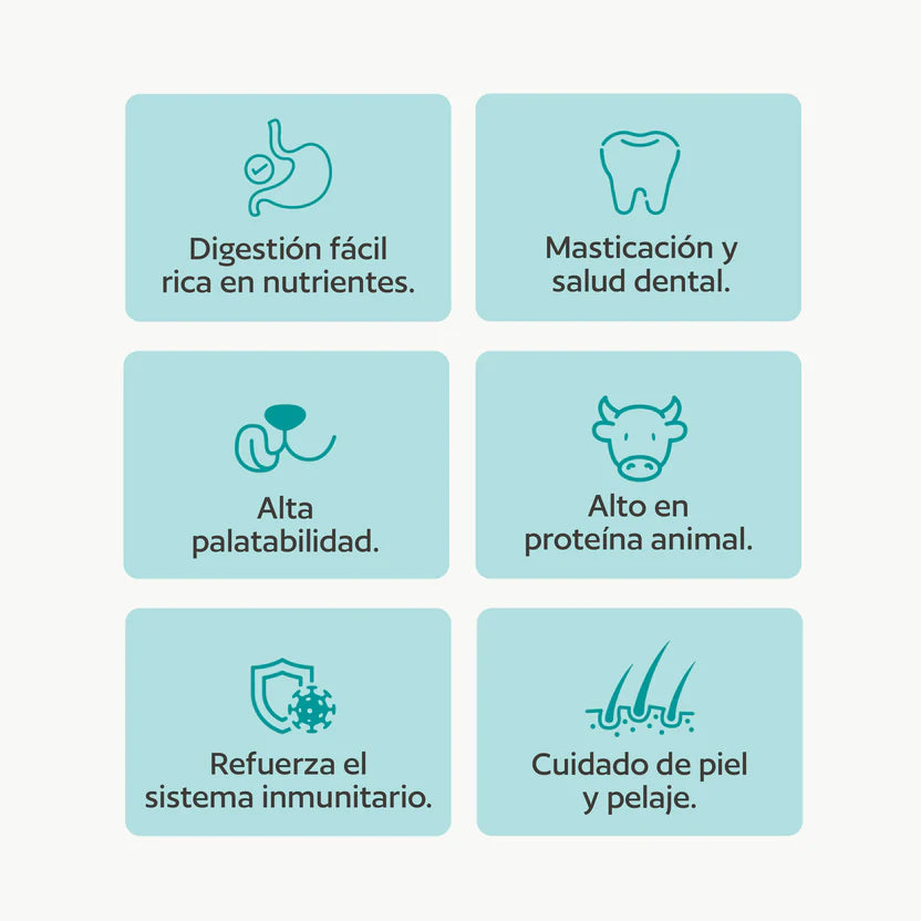 Healthy Chips Dental Fresh