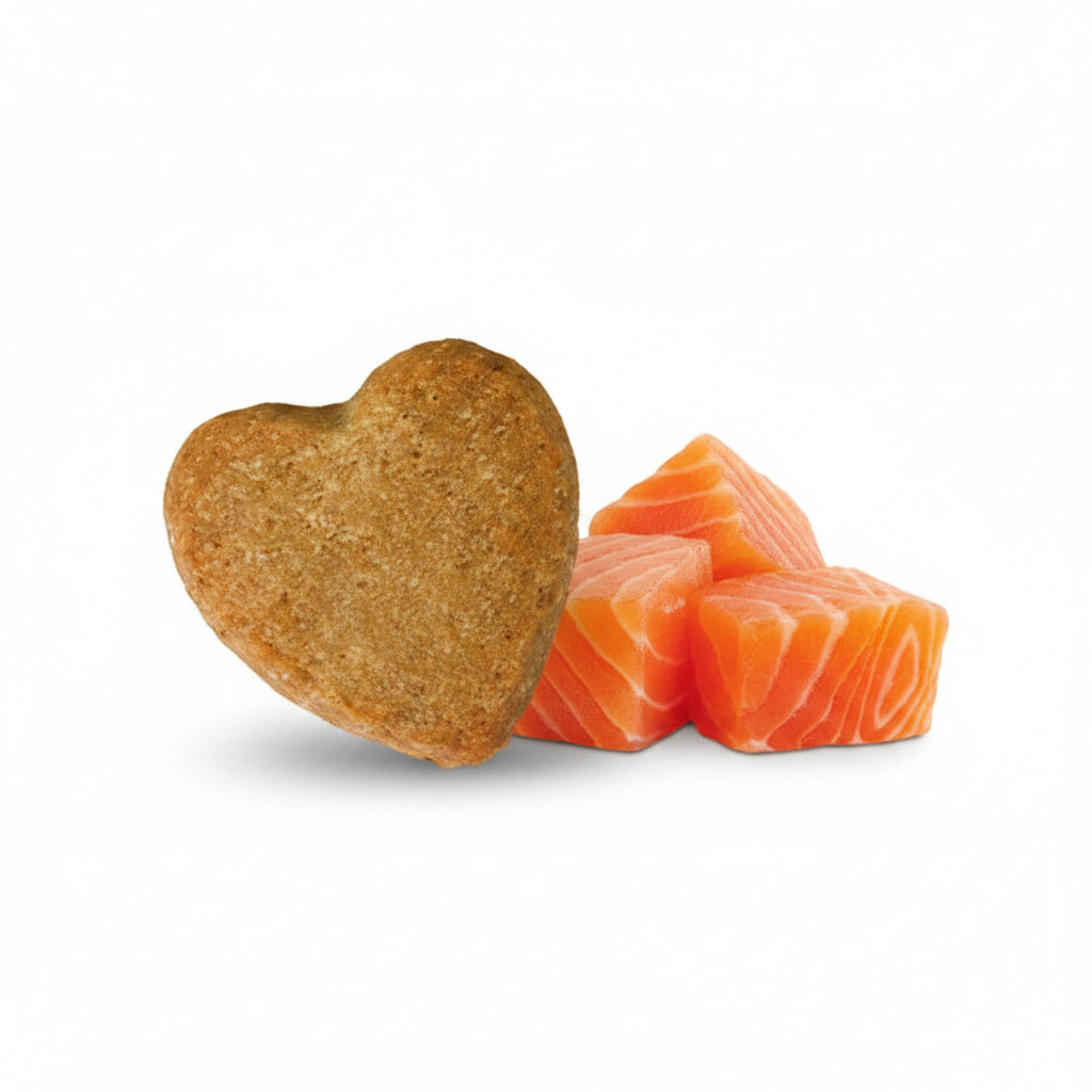 Galletas en Forma de Corazón - Salmón 🧡